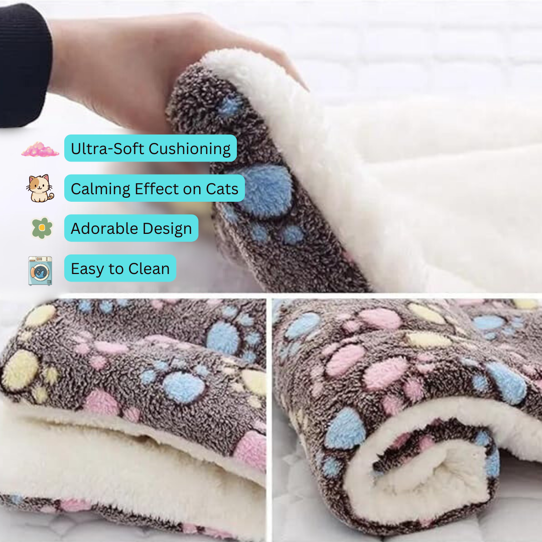 CalmPaws Cushion