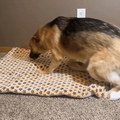 Dog Calming Bed